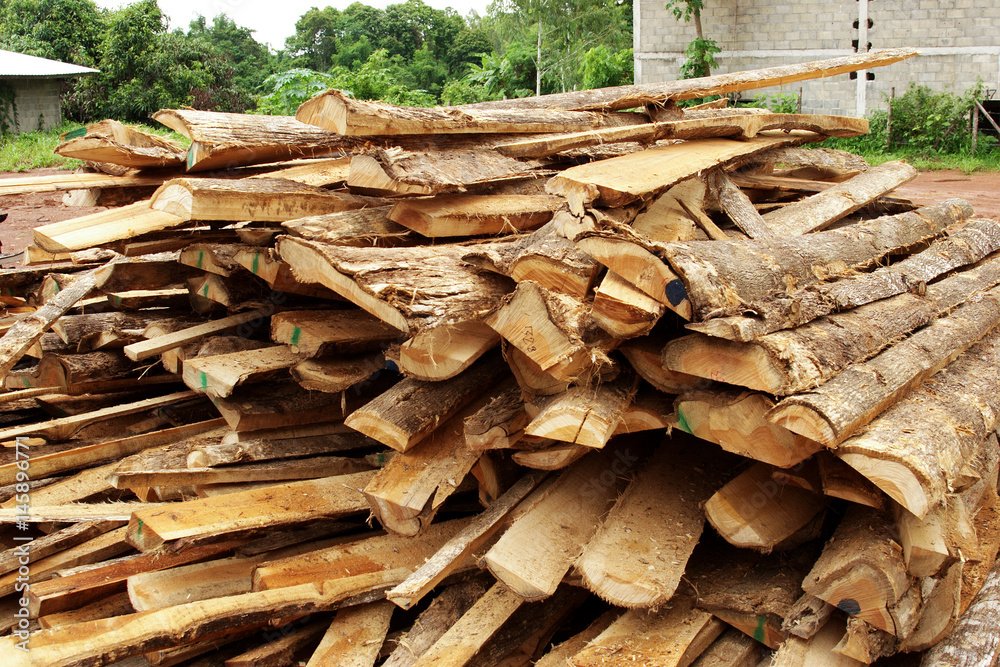 Kayu